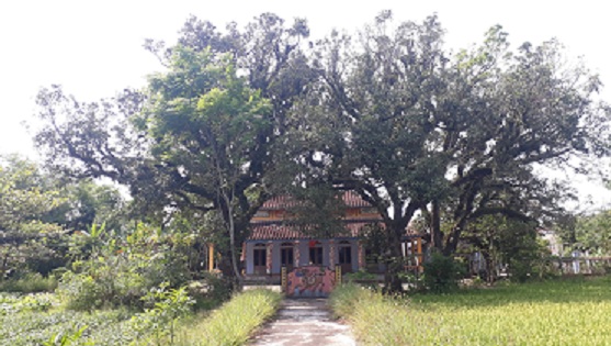 Văn thánh Thăng Bình - Nơi lưu dấu truyền thống hiếu học và lễ nghĩa